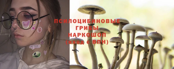 дурь Верхний Тагил
