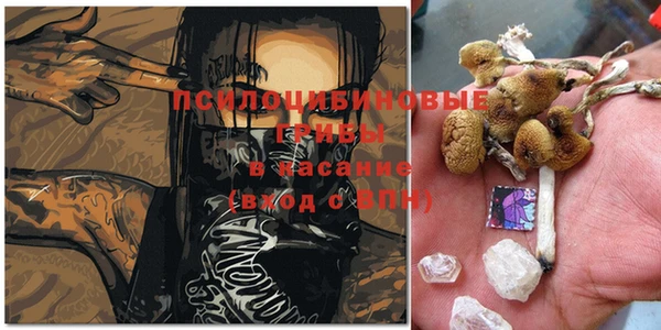 дмт Верея