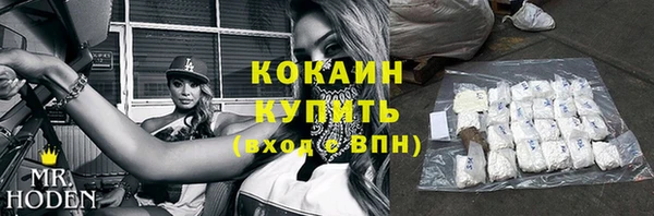 дмт Верея