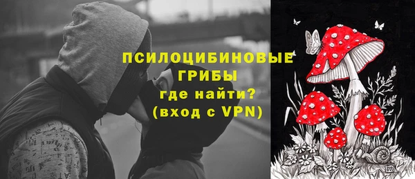 дмт Верея