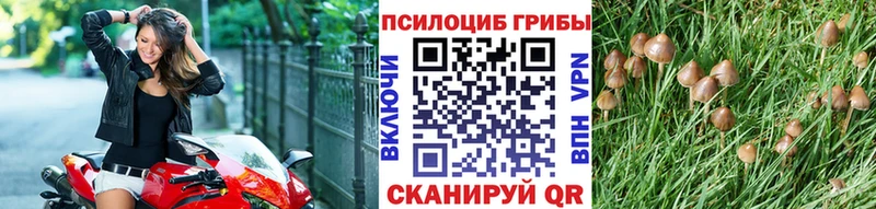 Псилоцибиновые грибы MAGIC MUSHROOMS  мориарти какой сайт  Саратов  где купить наркотик 